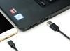 Cable, USB C to A 2.0, M/M , 1 ft, Black