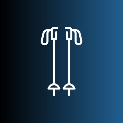 Ski Poles