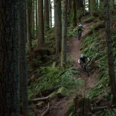 Mountain Hardtail