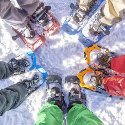 Snowshoes