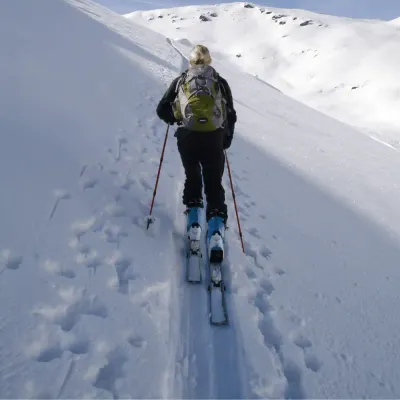 XC Skis