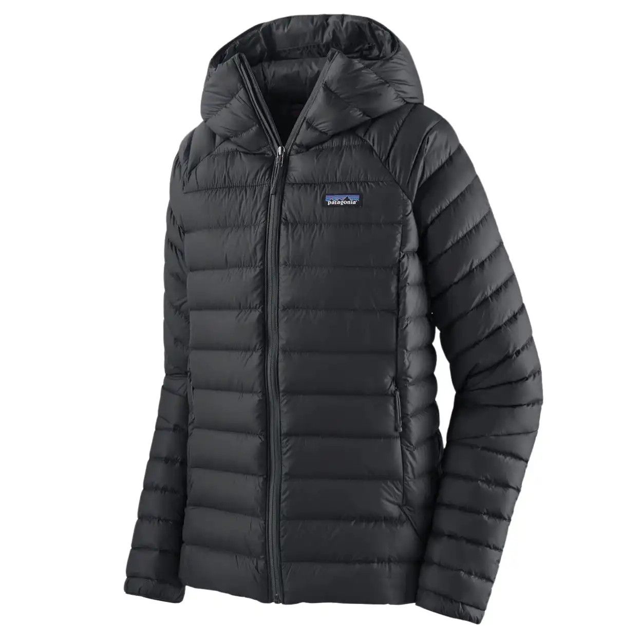 Patagonia Women's Down Sweater Hoody '26, Color: Black, Size: Small