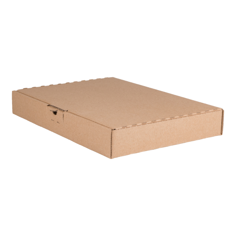 Maxibriefkarton DIN A4 338x232x44 mm