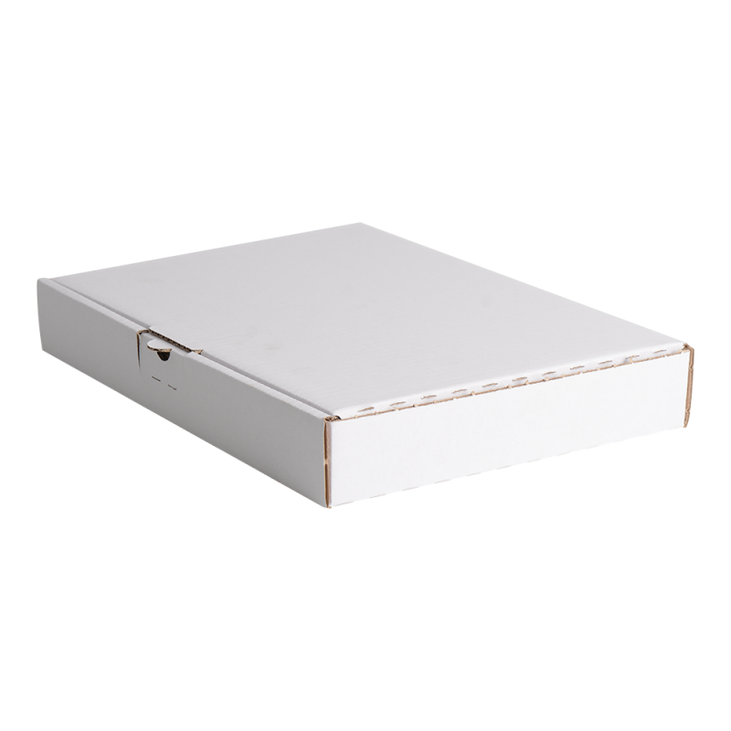 Maxibriefkarton DIN A4 338x232x44 mm weiß