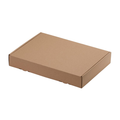 Maxibriefkarton DIN A4 305x220x45 mm