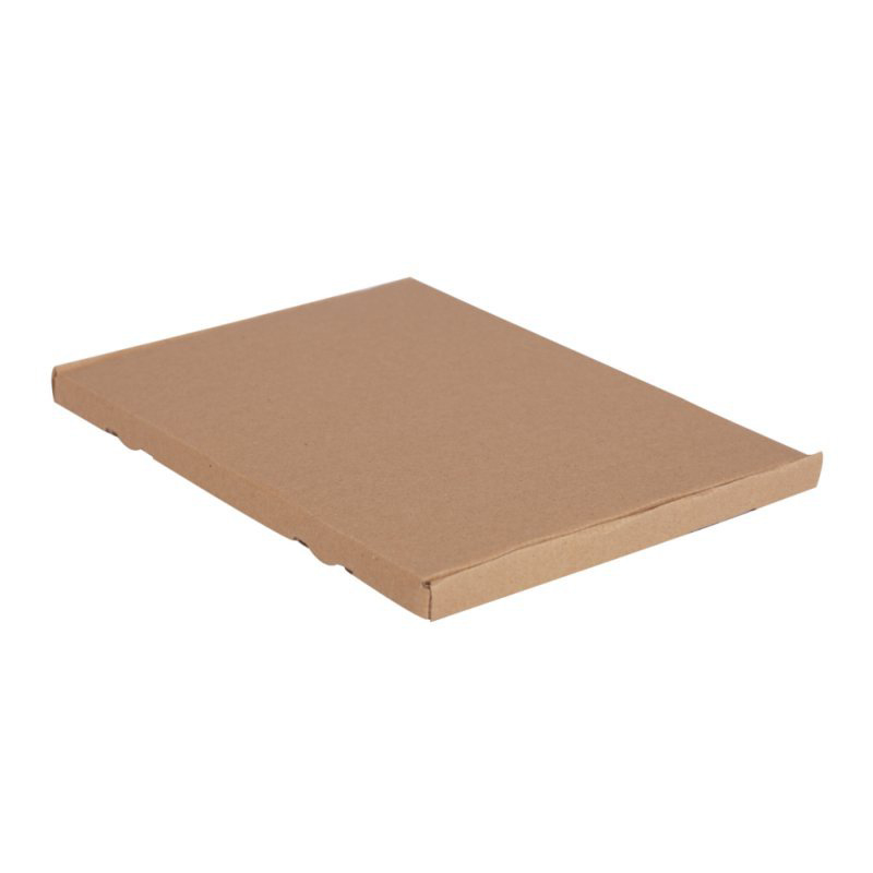 Maxibriefkarton DIN A4 322x244x16 mm