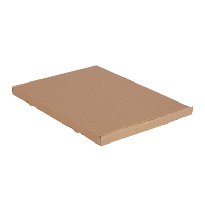 Maxibriefkarton DIN A4 322x244x16 mm