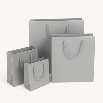 Deluxetragetasche in silber 30+10x21cm