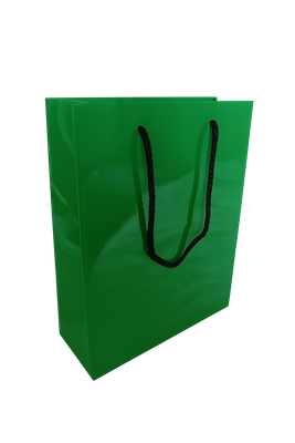 Papiertragetasche 20 + 9 x 23 + 4 cm in Glanz grün
