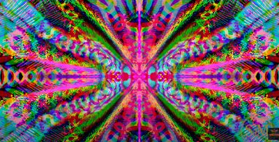 🎥 Cerebral Cortex in Motion