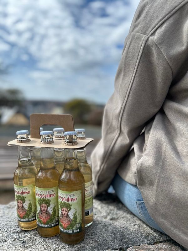 Bio Wiesenlimo 6er-Pack