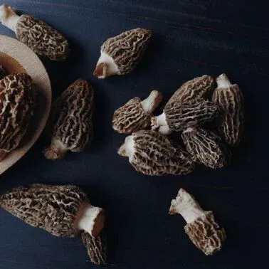 Magic Mushroom