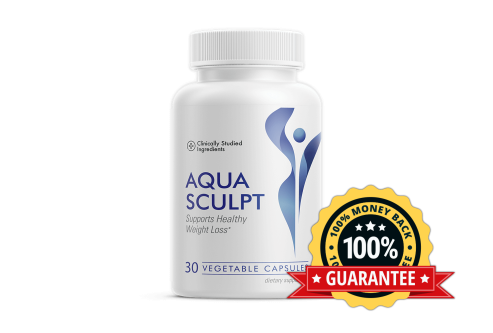 AquaSculpt Ice Water Hack