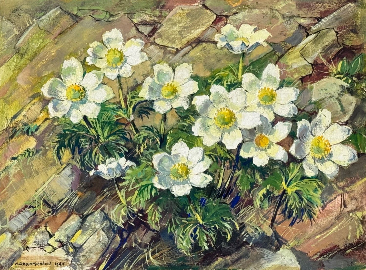 Anemonen