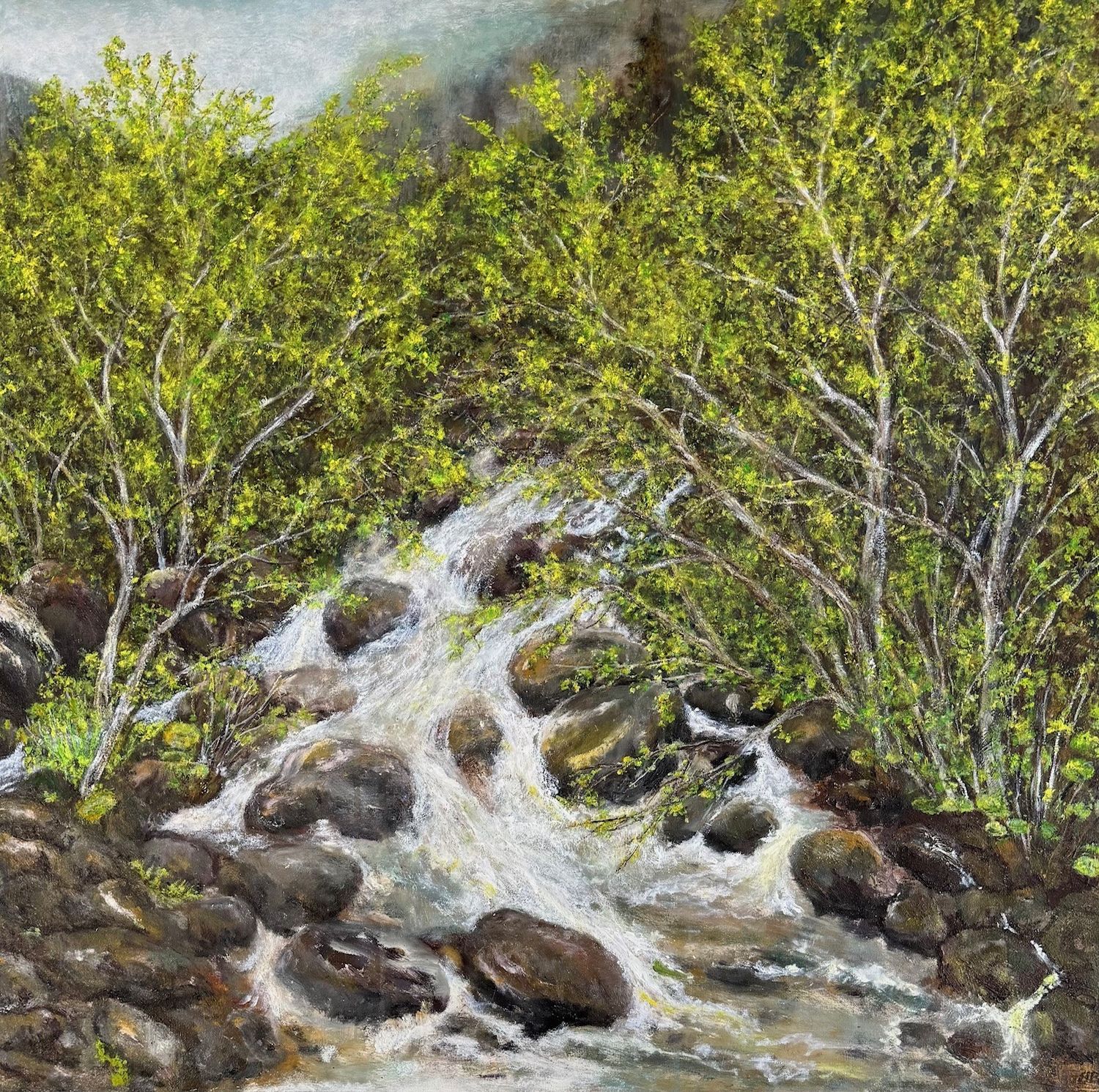 Bergbach im Grön