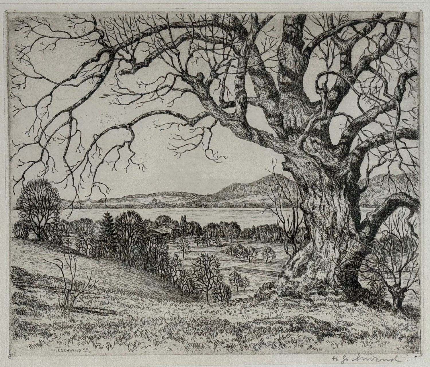 Blick auf Thun (Einigen), 1955