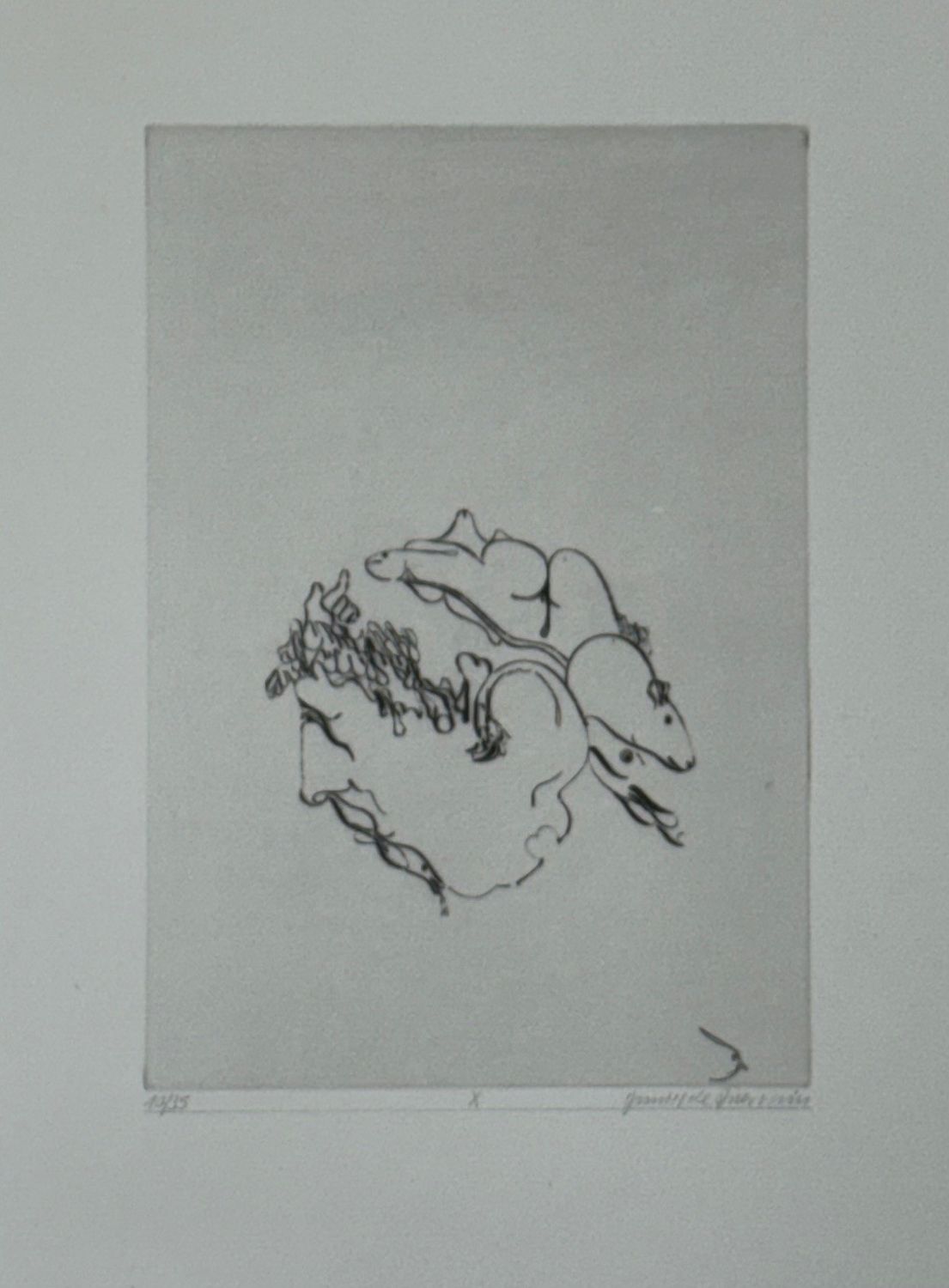 Der Kopf schmerzt, 1972