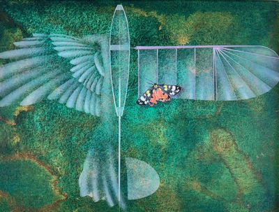 Angelique Spanische Fahne, 1993