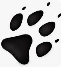 A little dog named Teddy - This is the story of a little dog named Teddy who gets lost. It is seen through his perspective. His adventure is scary and rough. Can he survive?    Genre: Fiction