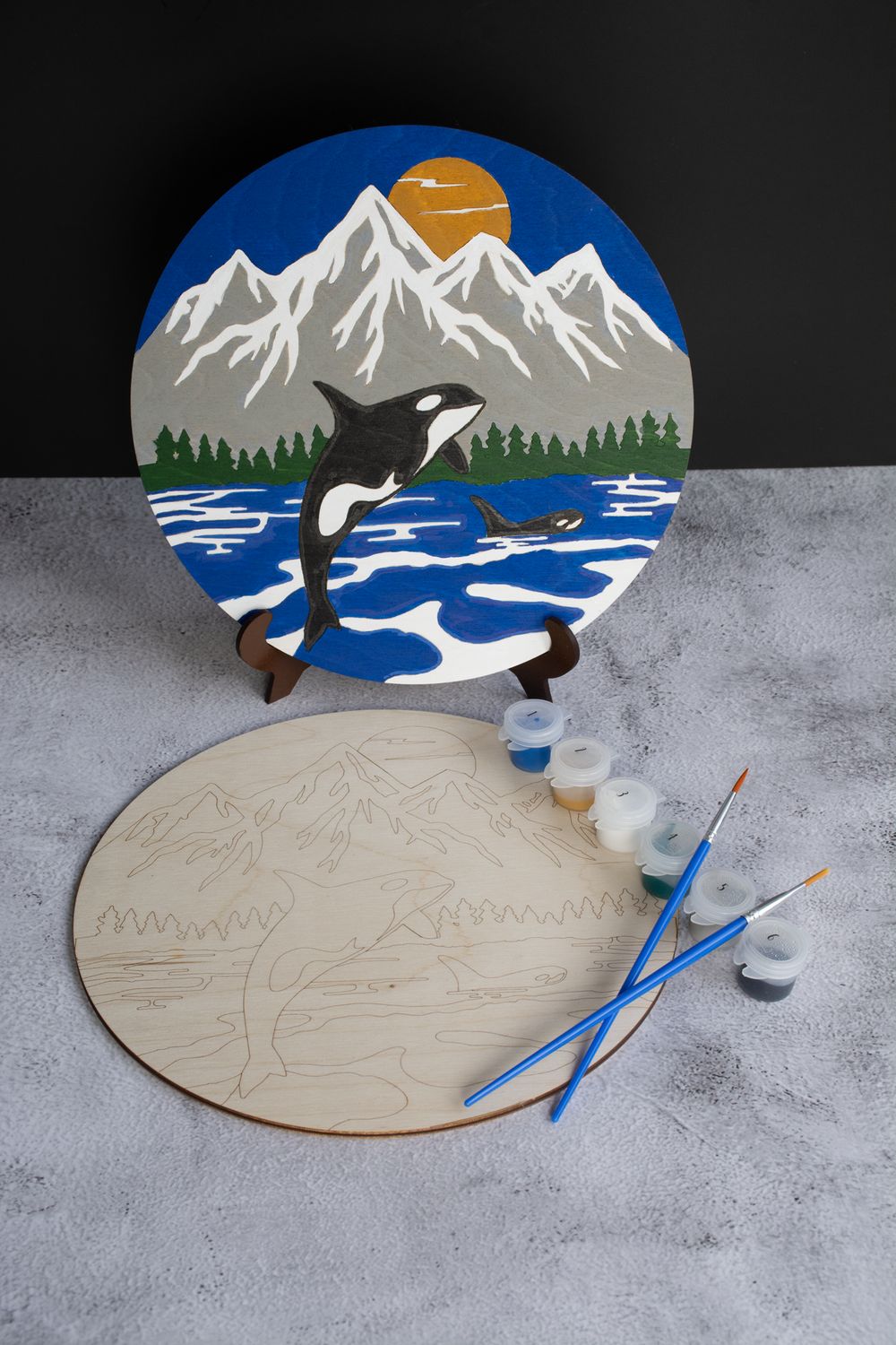 Orca Paint by Number Kit
