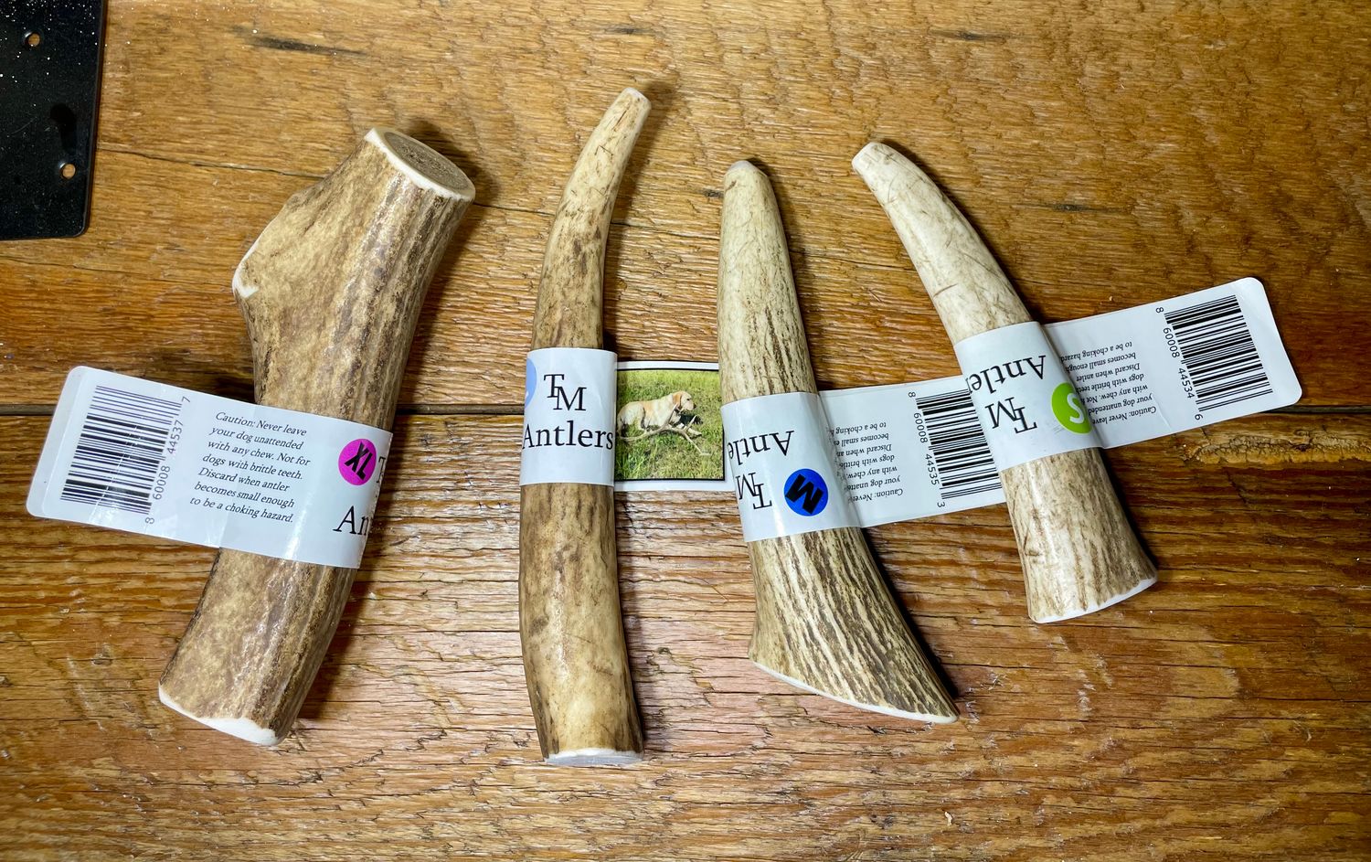 Large Whole Elk Antler Dog Chew
