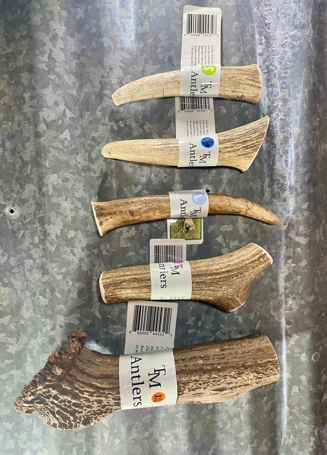 Medium Whole Elk Antler Dog Chew