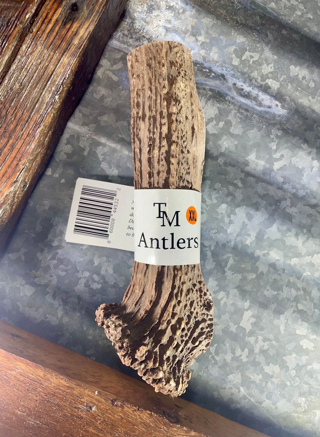 XXL Whole Elk Antler Dog Chew