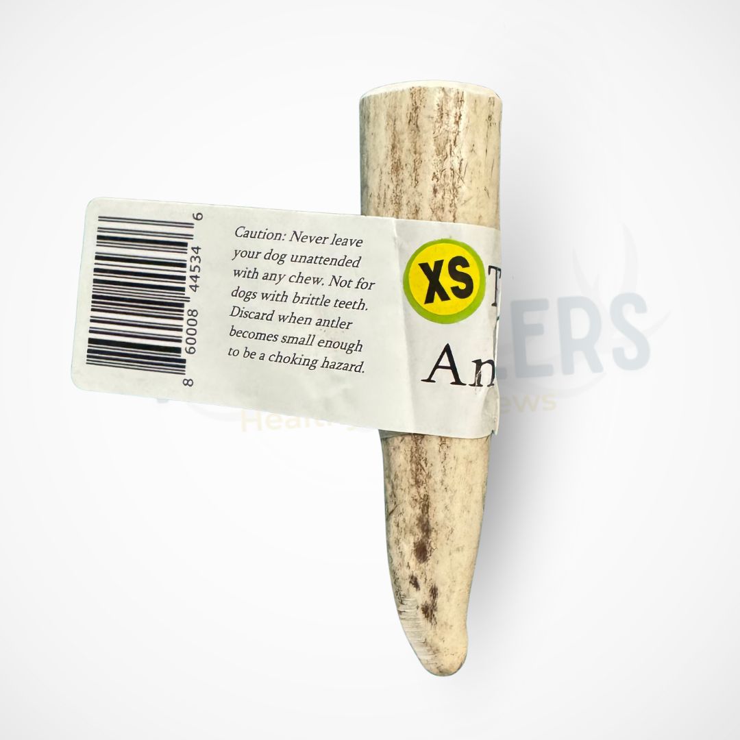 X-Small Whole Elk Antler Dog Chew
