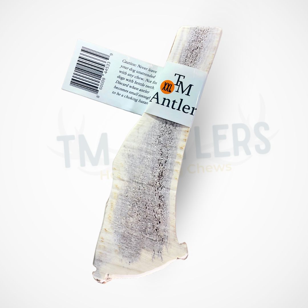 XXL Split Elk Antler Dog Chew