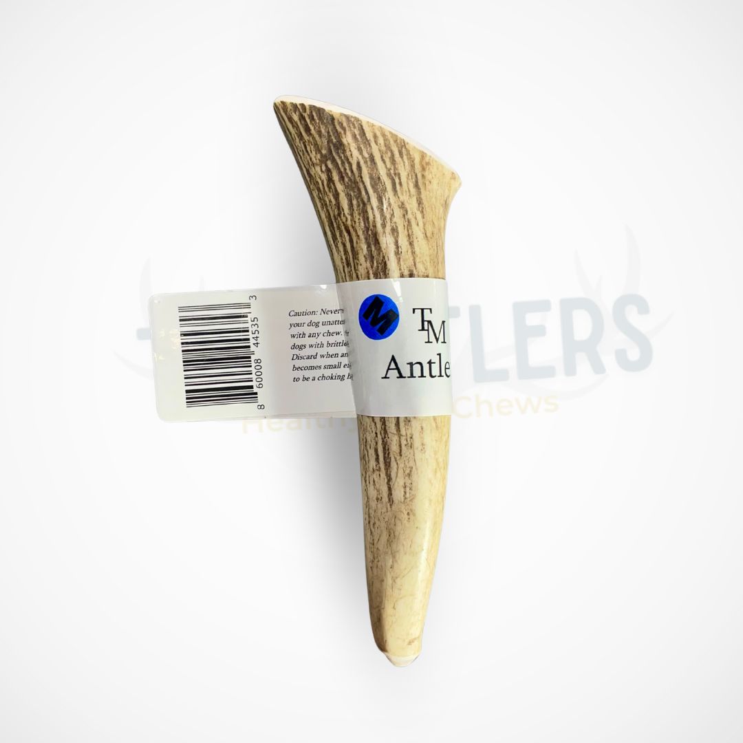 Medium Whole Elk Antler Dog Chew