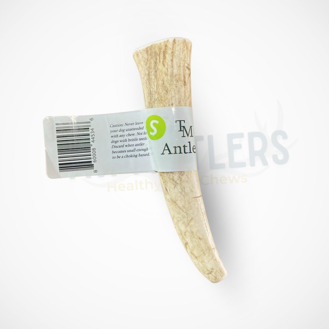 Small Whole Elk Antler Dog Chew