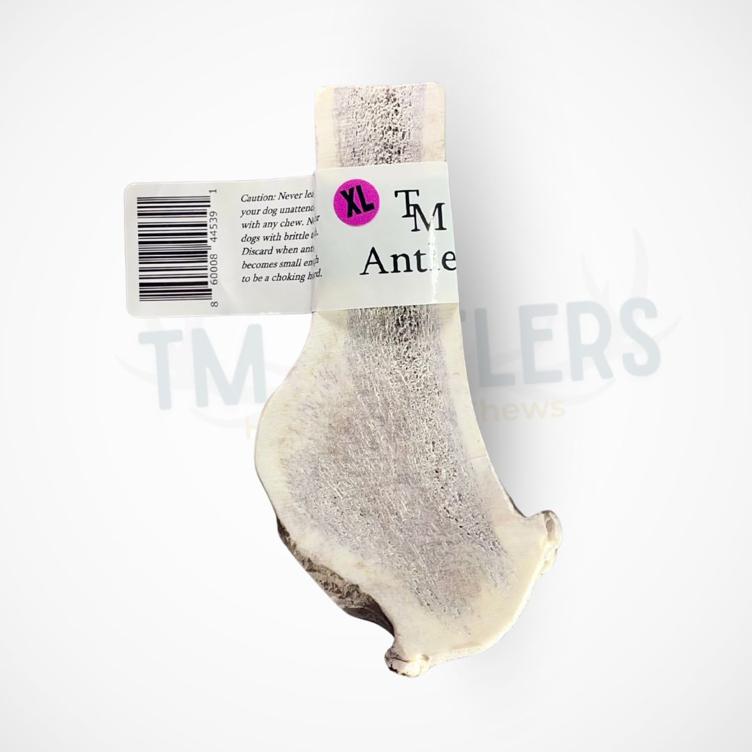 XL Split Elk Antler Dog Chew
