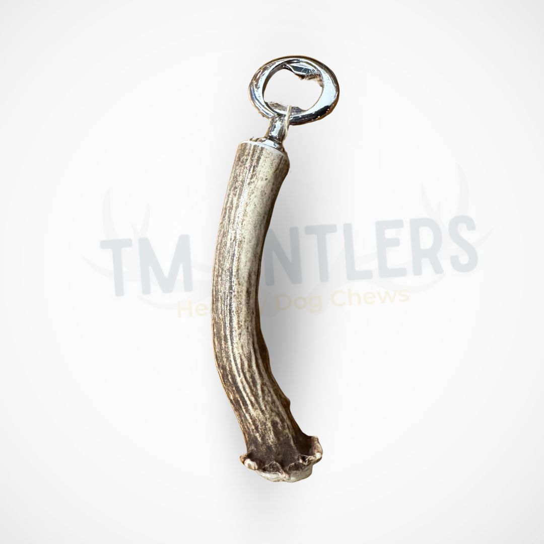 Deer Antler Bottle Opener