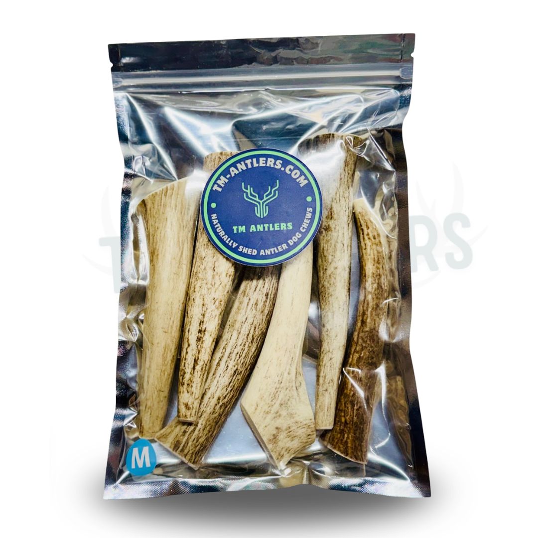 Medium Whole Elk Antler Pouch – 1 lb