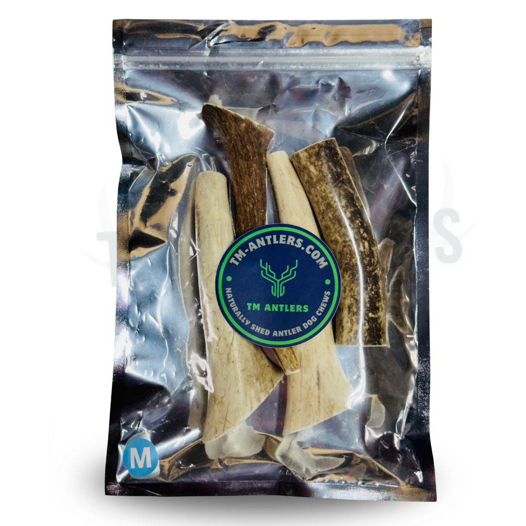 Medium Whole Elk Antler Pouch – 3/4 lb