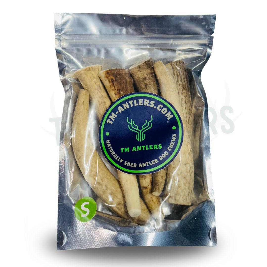 Small Whole Elk Antler Pouch – 3/4 lb