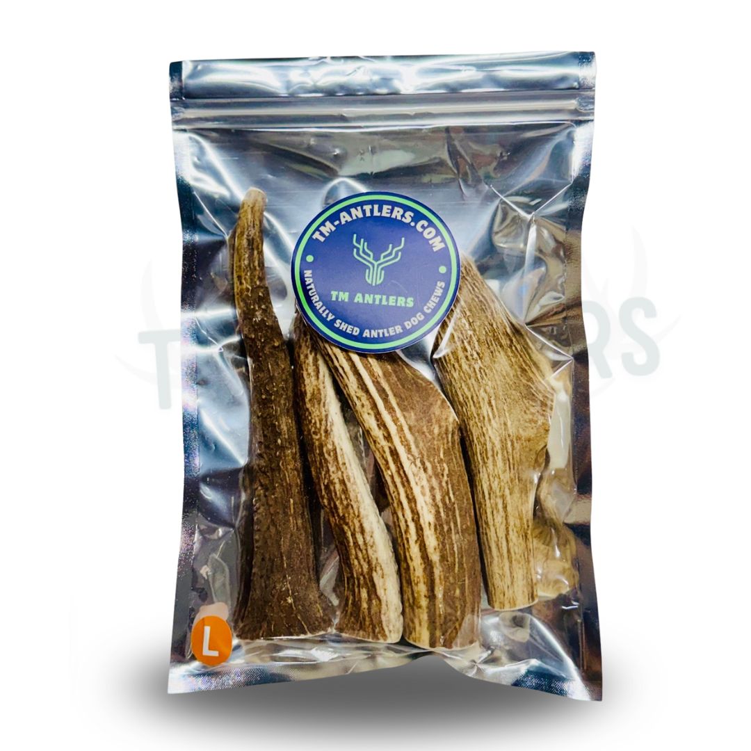 Large Whole Elk Antler Pouch – 1 lb