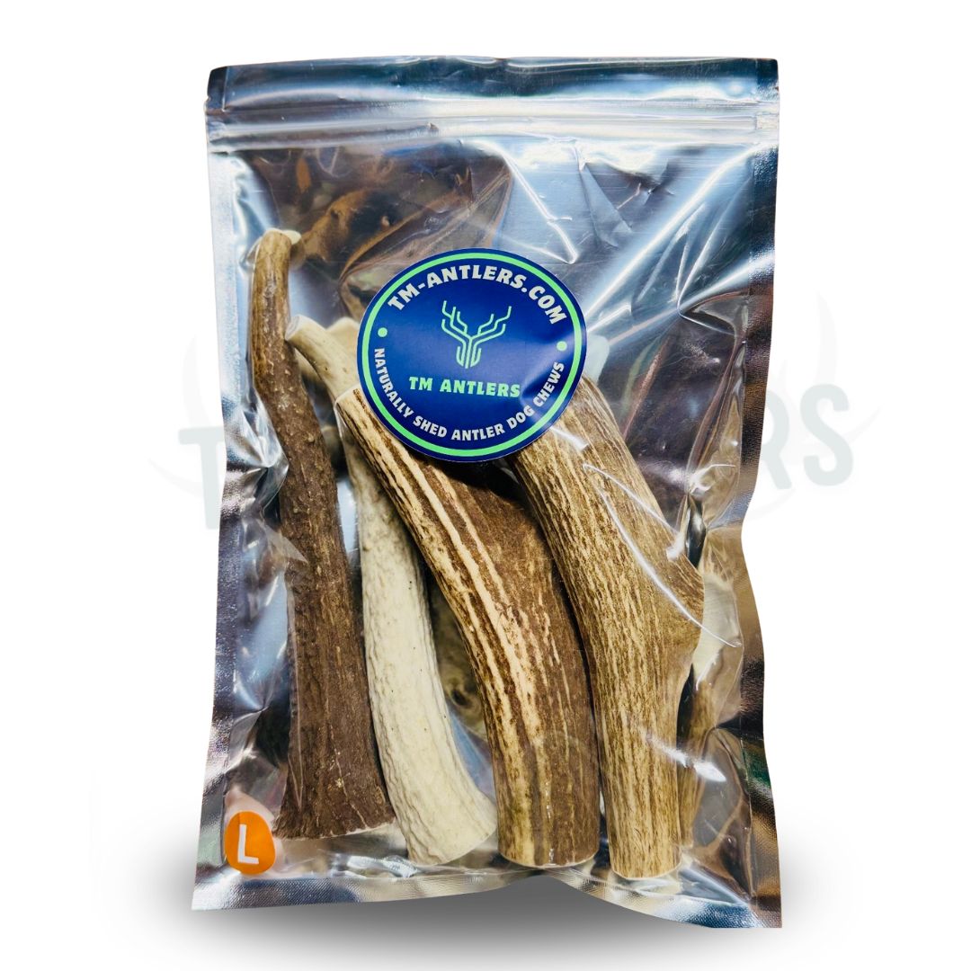 Large Whole Elk Antler Pouch – 1 lb Large Whole Elk Antler Pouch – 1 lb