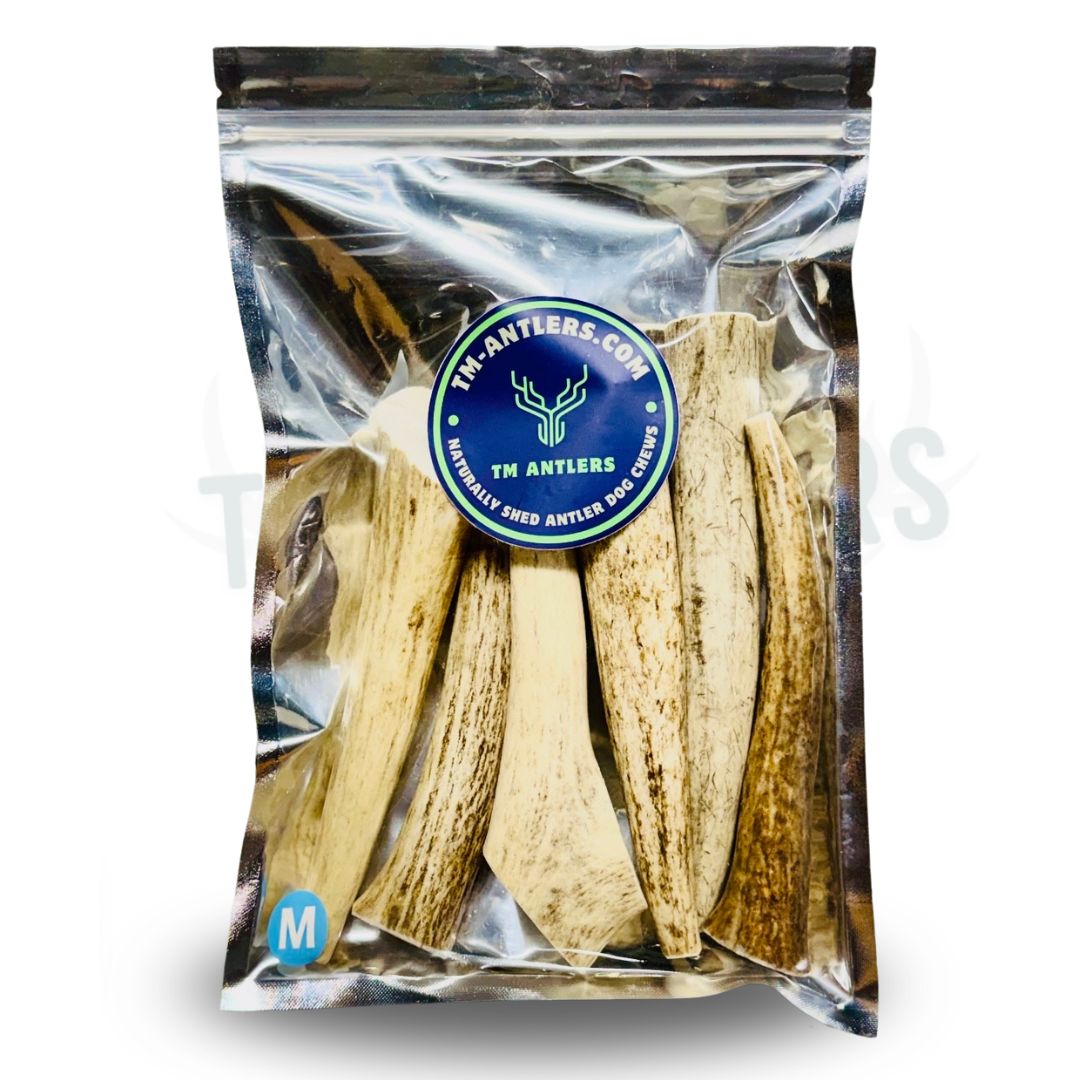 Medium Whole Elk Antler Pouch – 1 lb