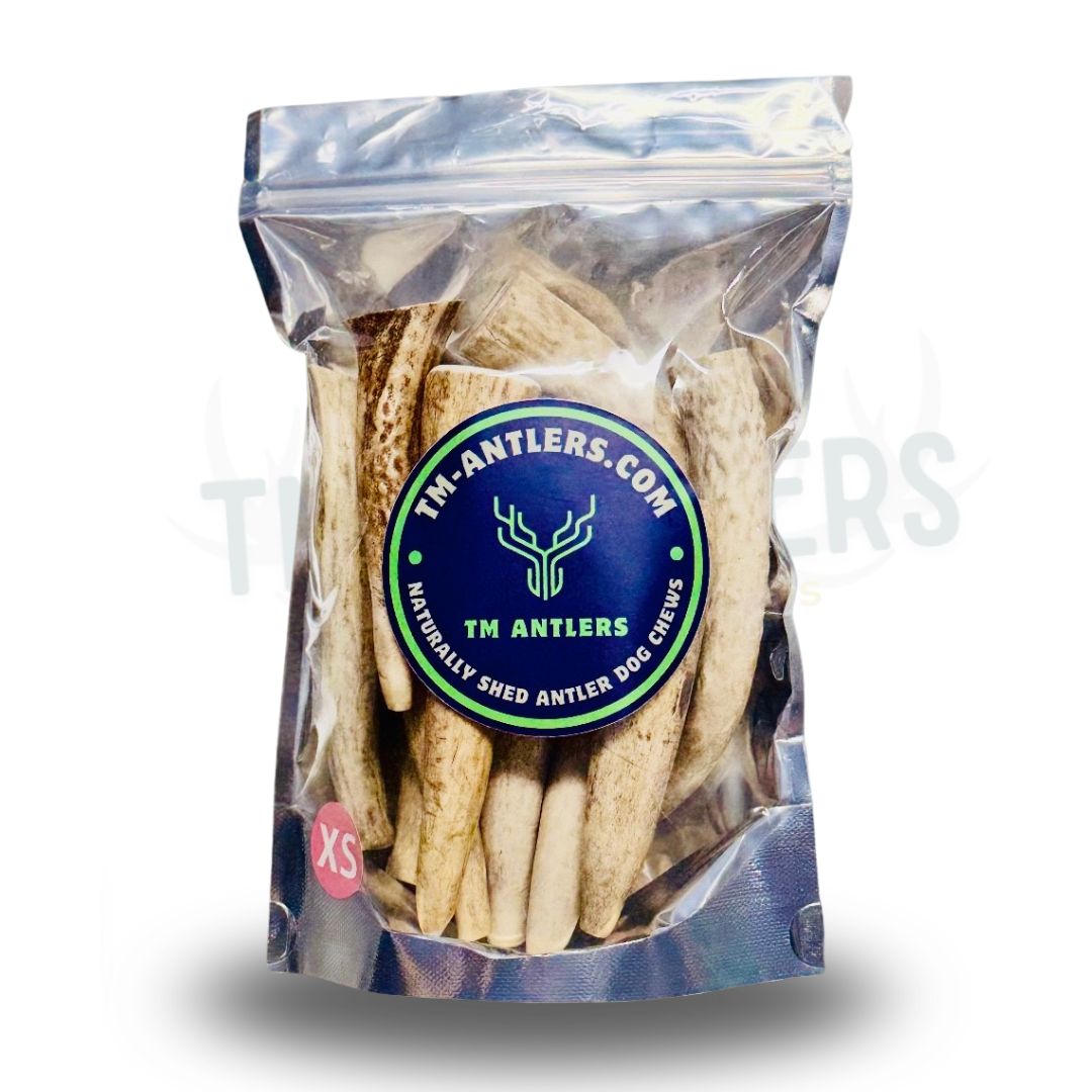 Extra Small Whole Elk Antler Pouch – 1 lb
