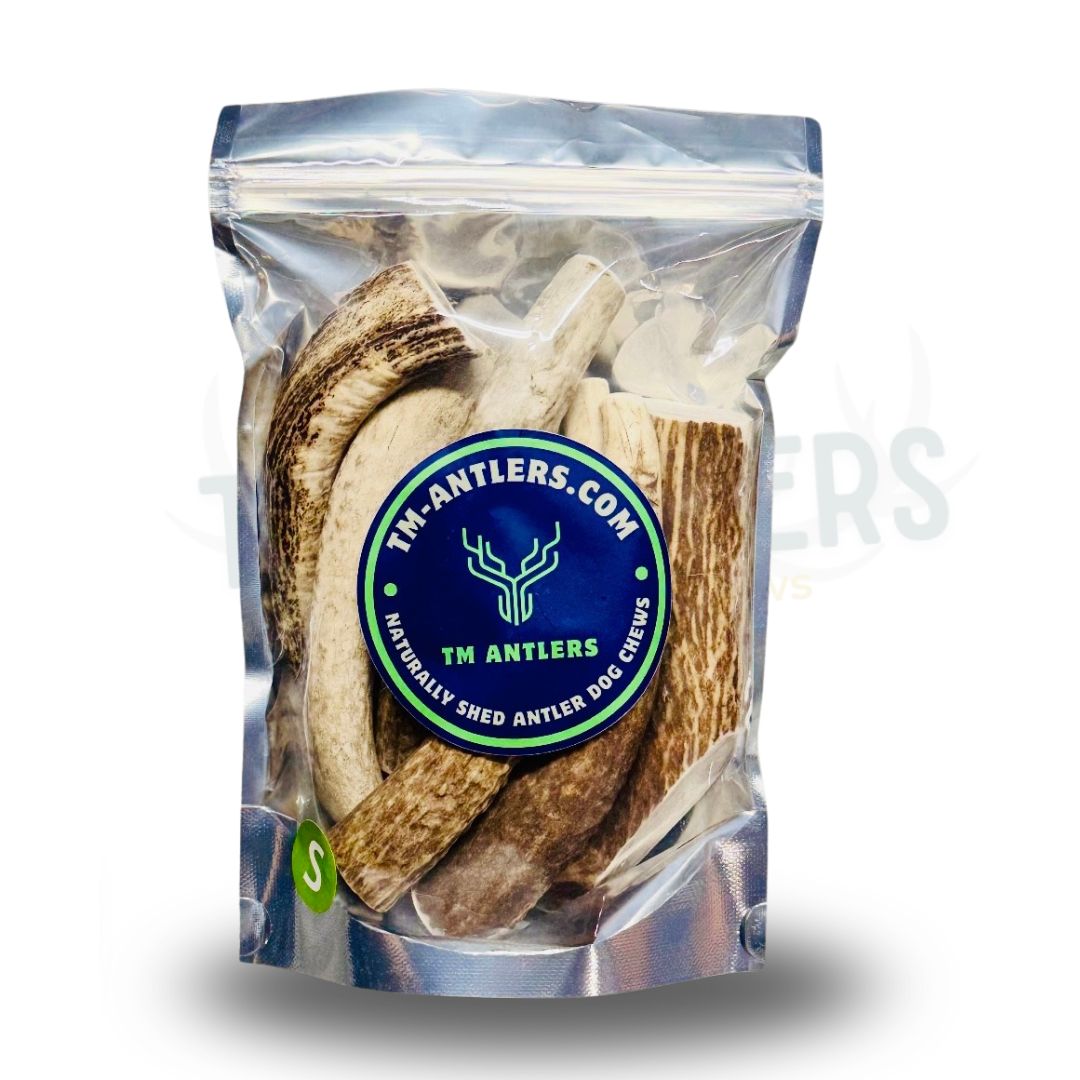 Small Whole Elk Antler Pouch – 1 lb