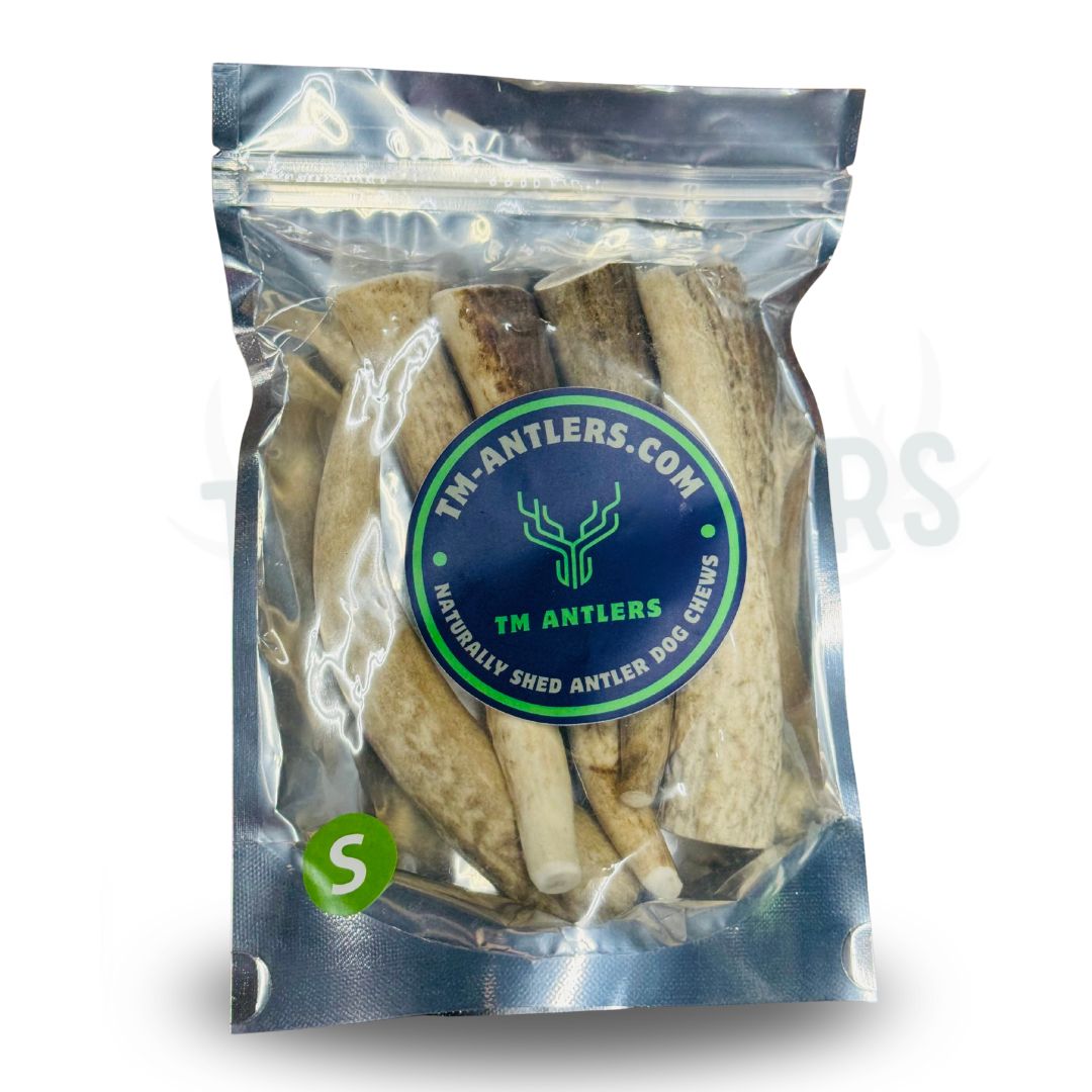 Small Whole Elk Antler Pouch – 3/4 lb