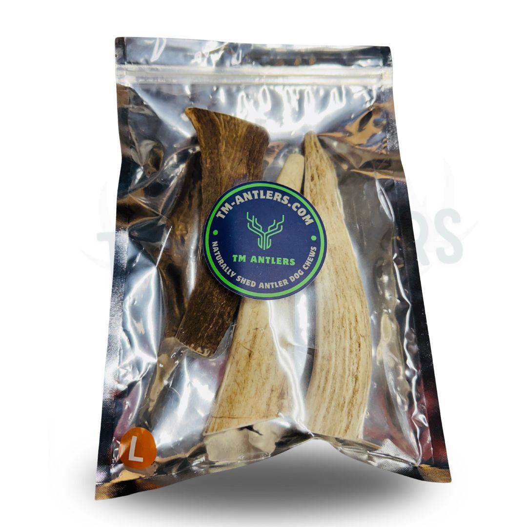 Large Whole Elk Antler Pouch – 3/4 lb Large Whole Elk Antler Pouch – 3/4 lb