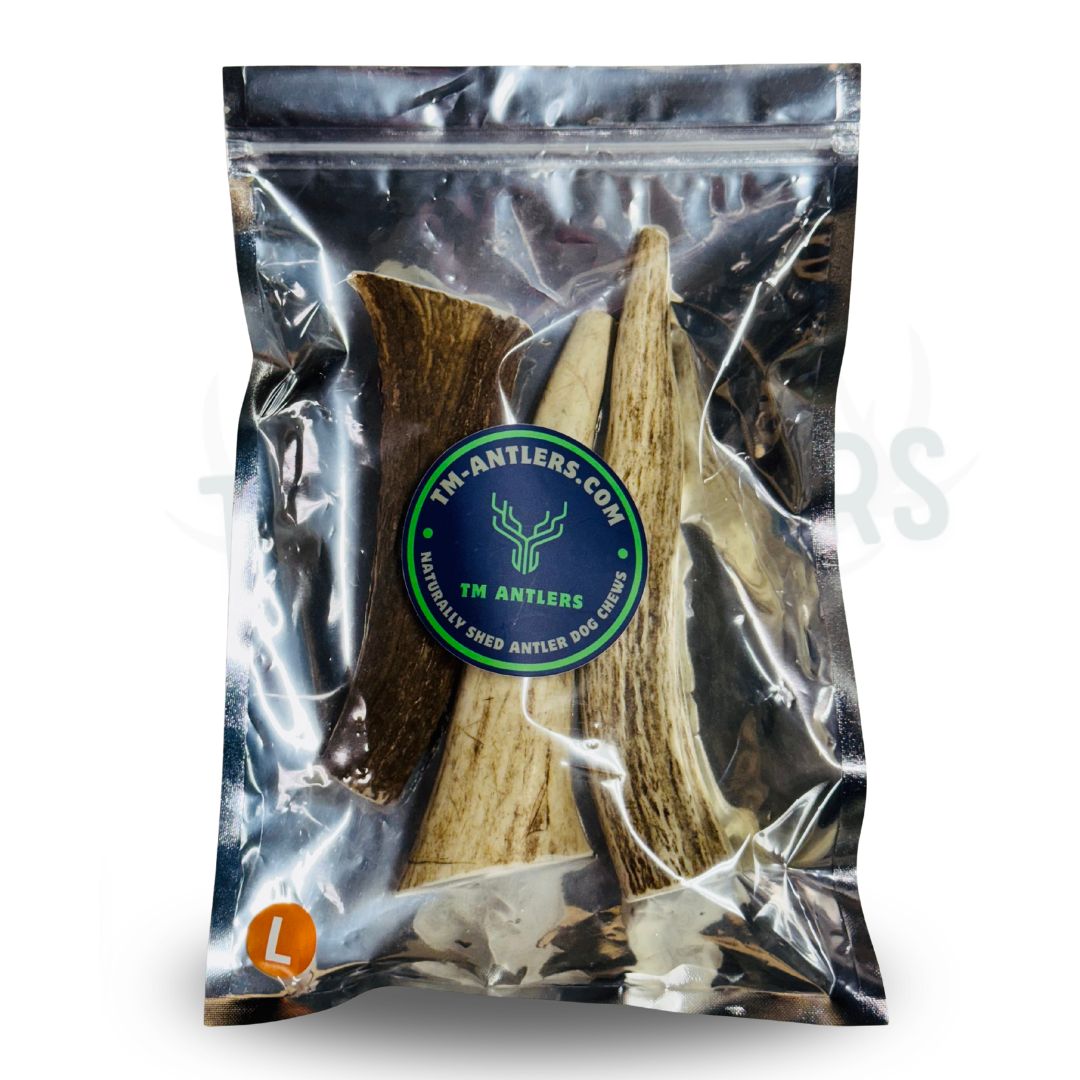 Large Whole Elk Antler Pouch – 3/4 lb