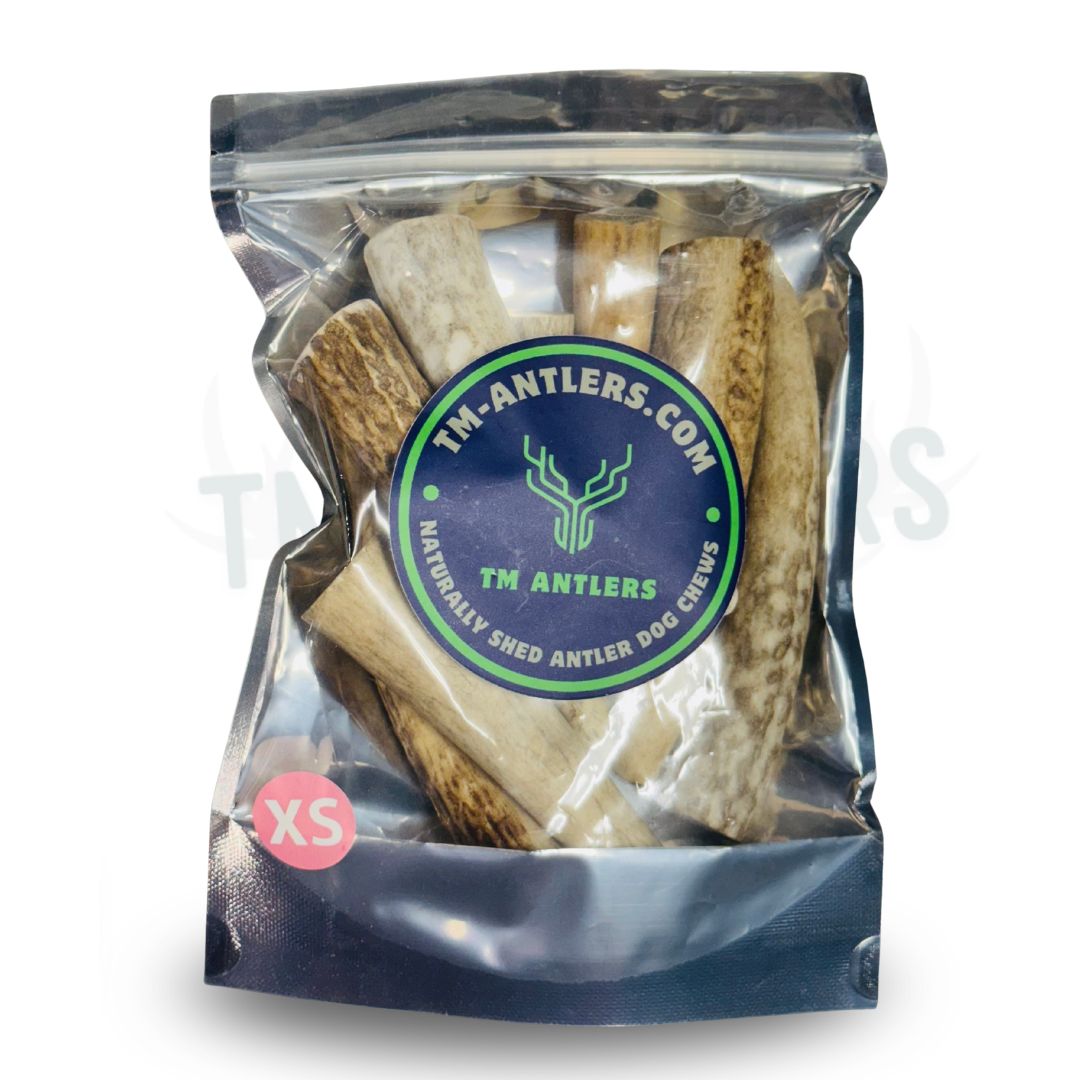 Extra Small Whole Elk Antler Pouch – 3/4 lb