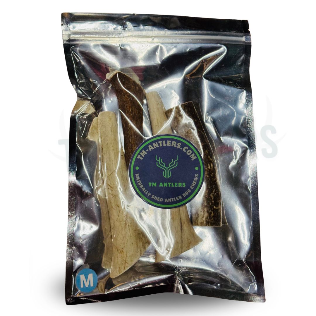 Medium Whole Elk Antler Pouch – 3/4 lb