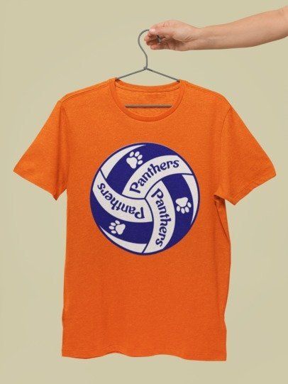 panther volleyball 4