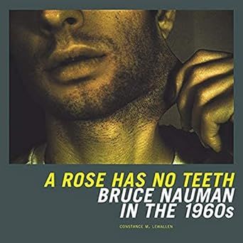 Bruce Nauman - A Rose Has No Teeth