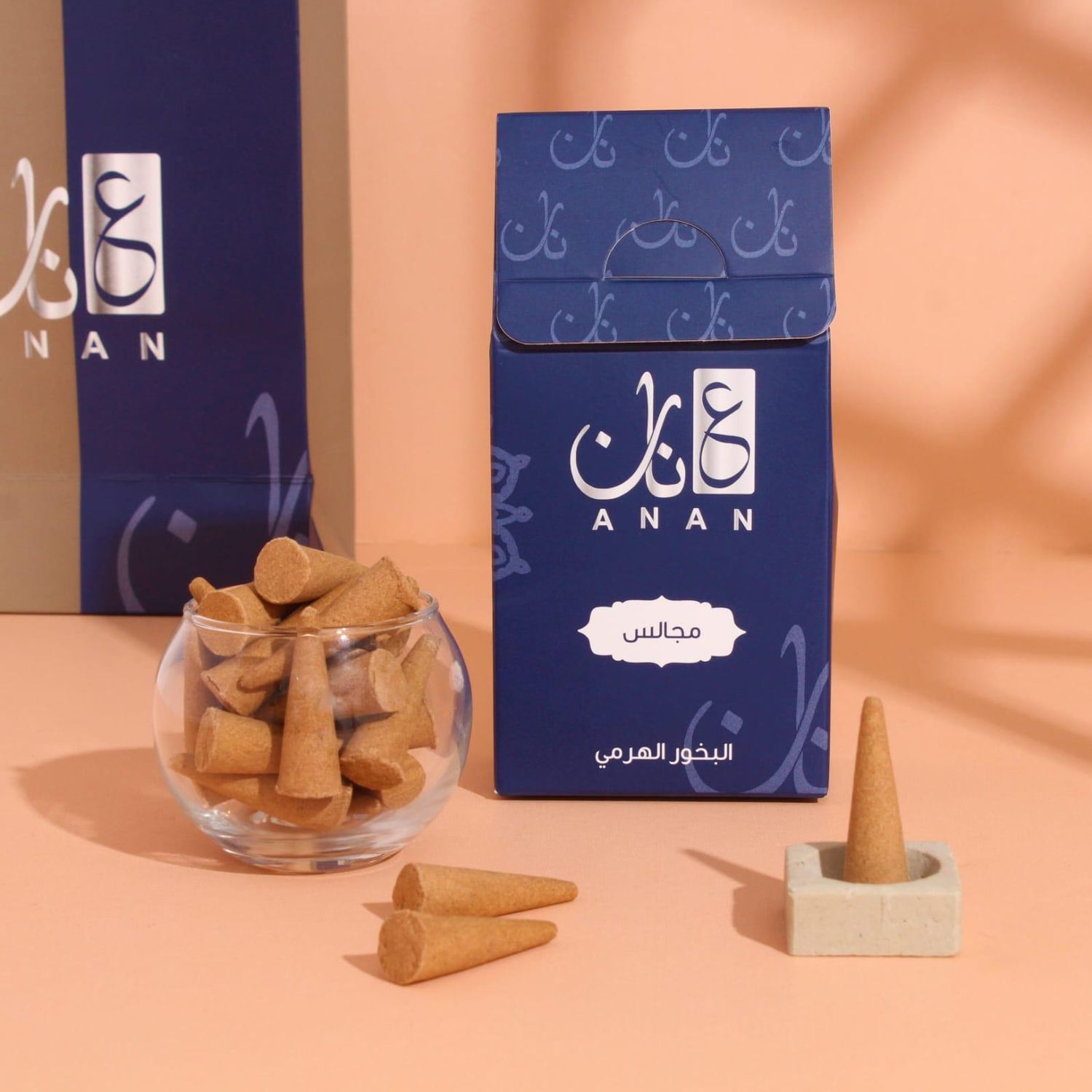 مجالس
