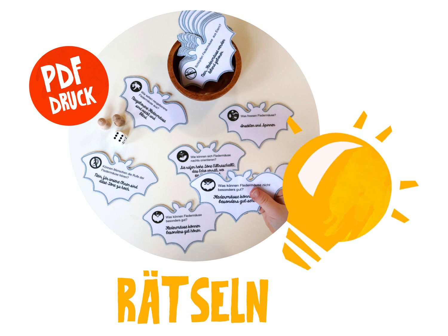 zWerkstück Fledermauswissen